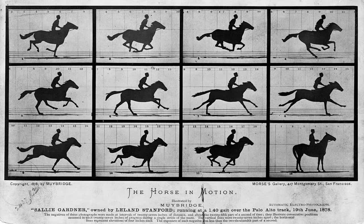 A grid showing 12 images of a horse galloping: 'Sallie Gardner', owned by Leland Stanford; ridden by G. Domm, running at a 1.40 gait over the Palo Alto track, 19th June, 1878